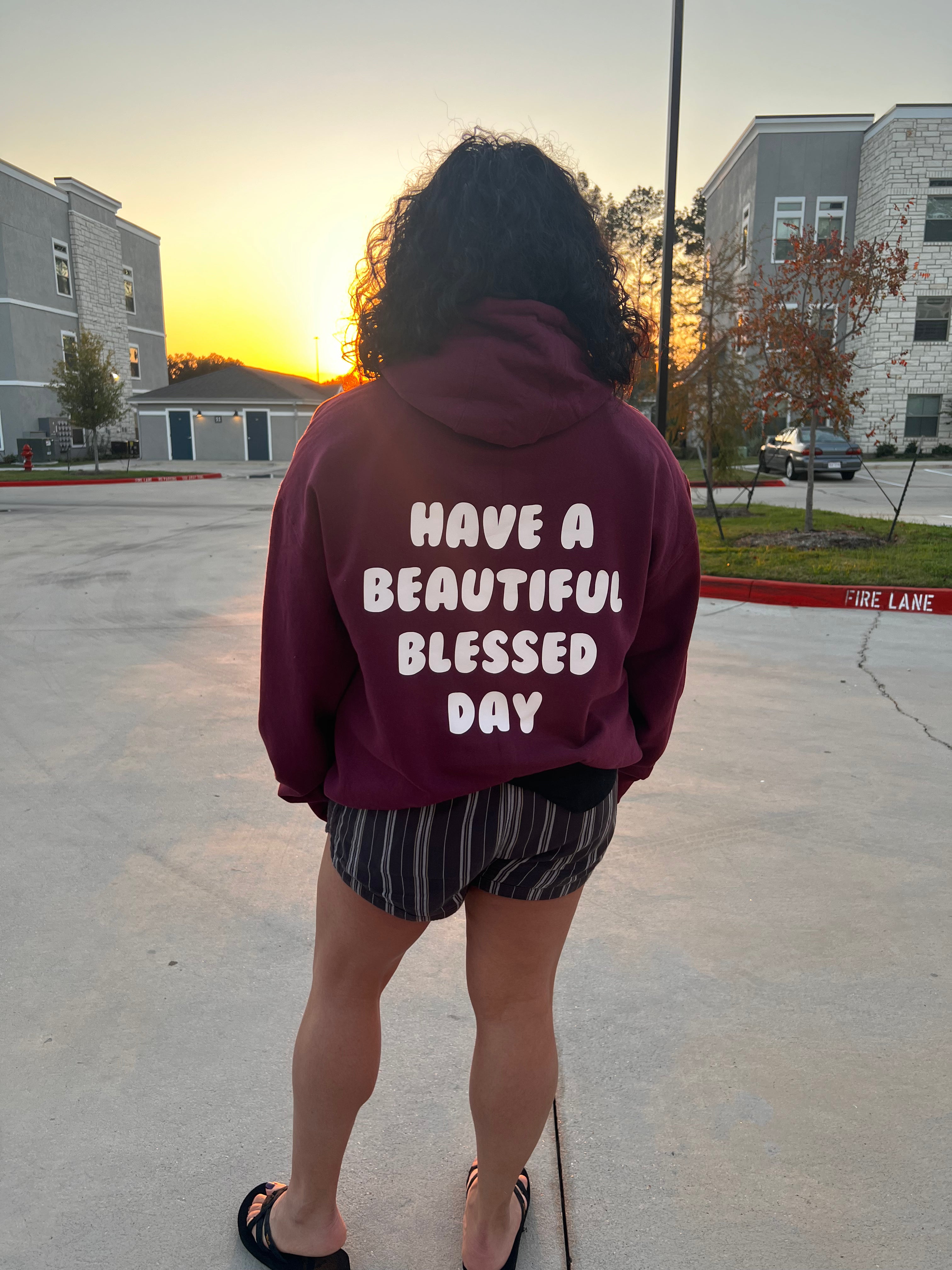 Have a Beautiful Blessed Day Hoodie